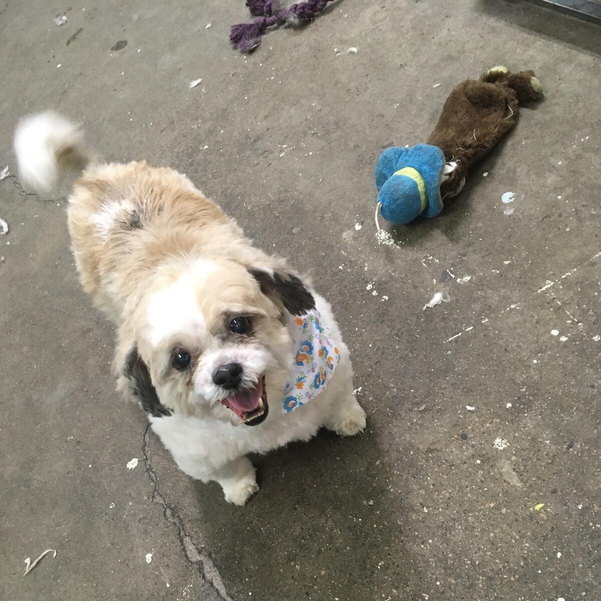 Photo credit: nextdoor
