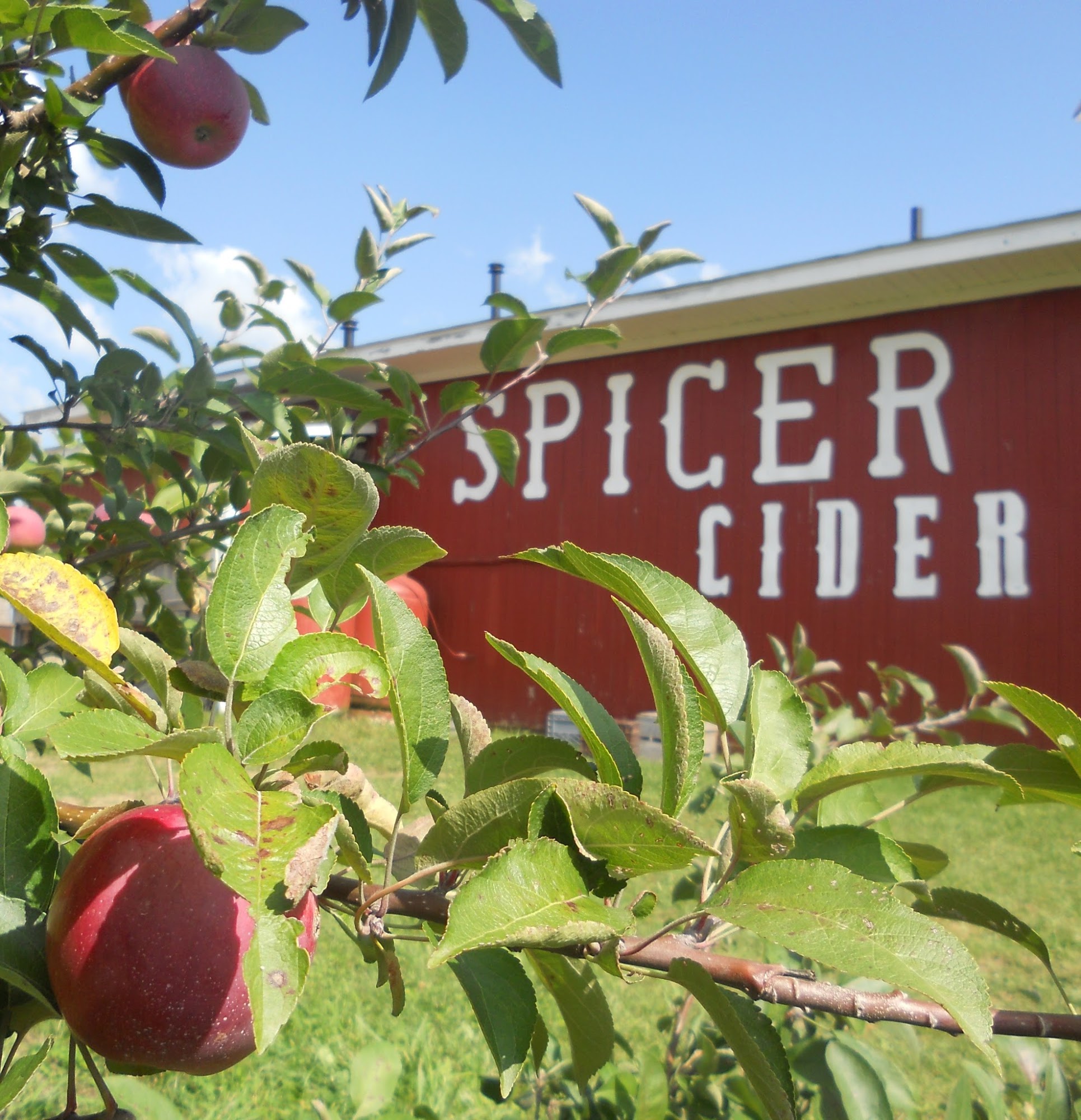 Spicer Orchards Farm Market, Cider Mill, Fudge, Bakery