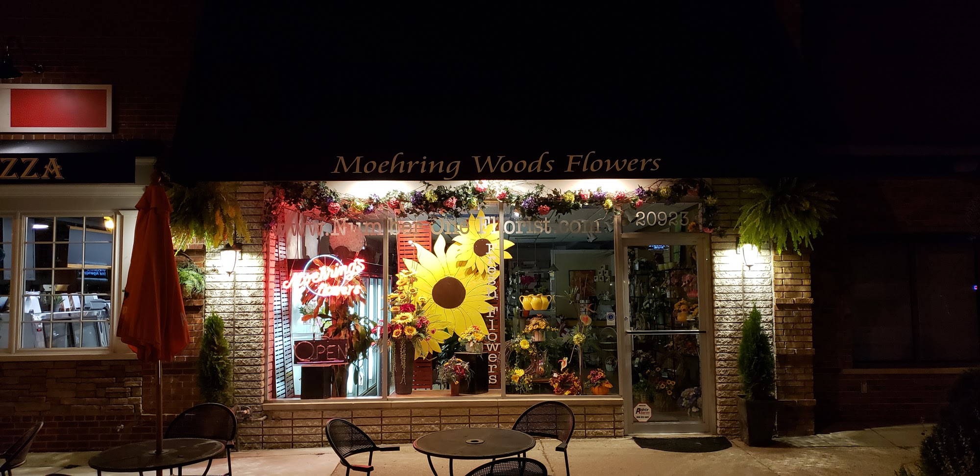Moehring Woods Flowers