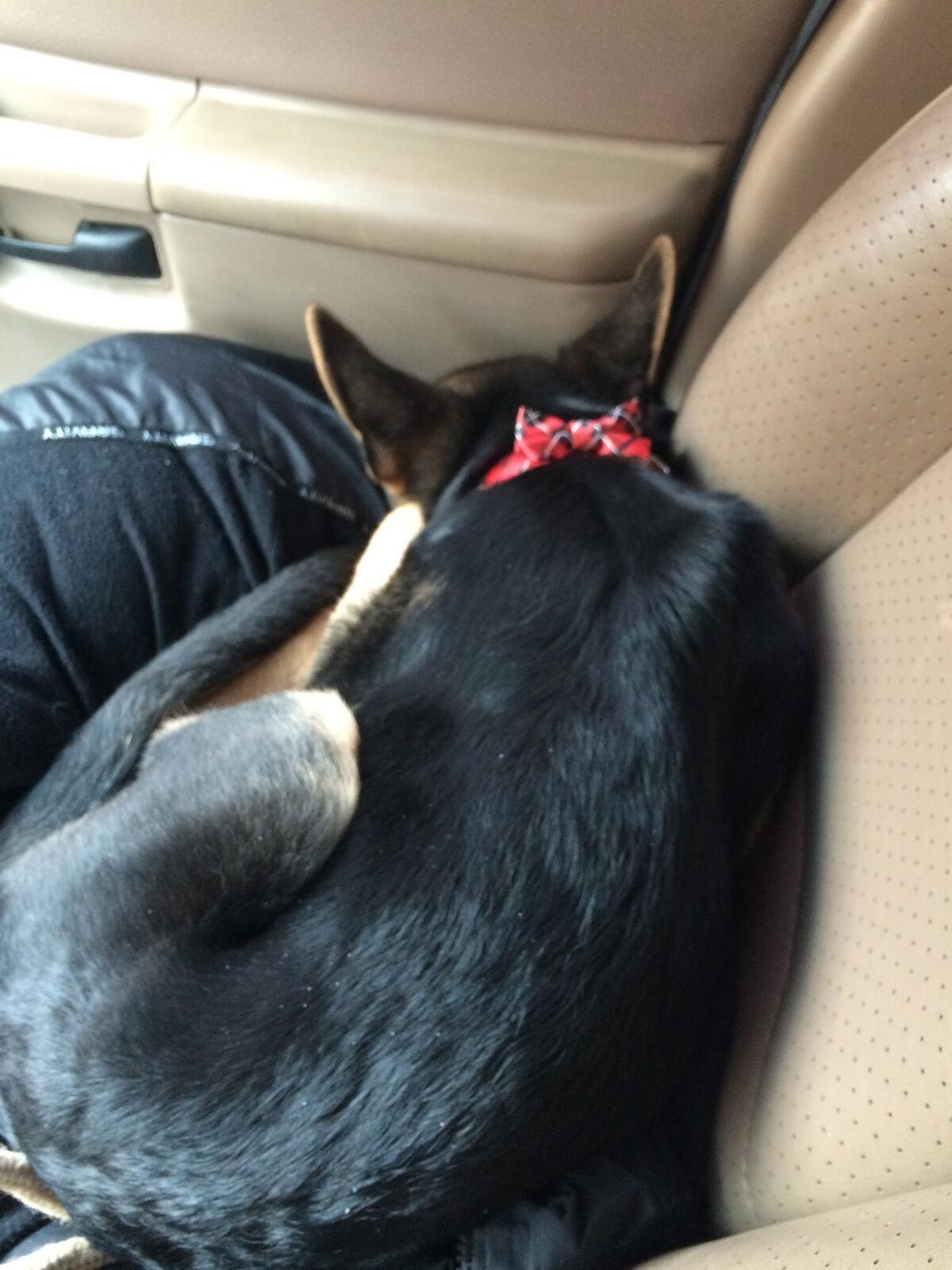 Photo credit: nextdoor