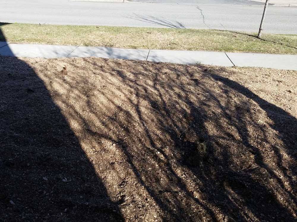 Up North Stump Grinding & Tree