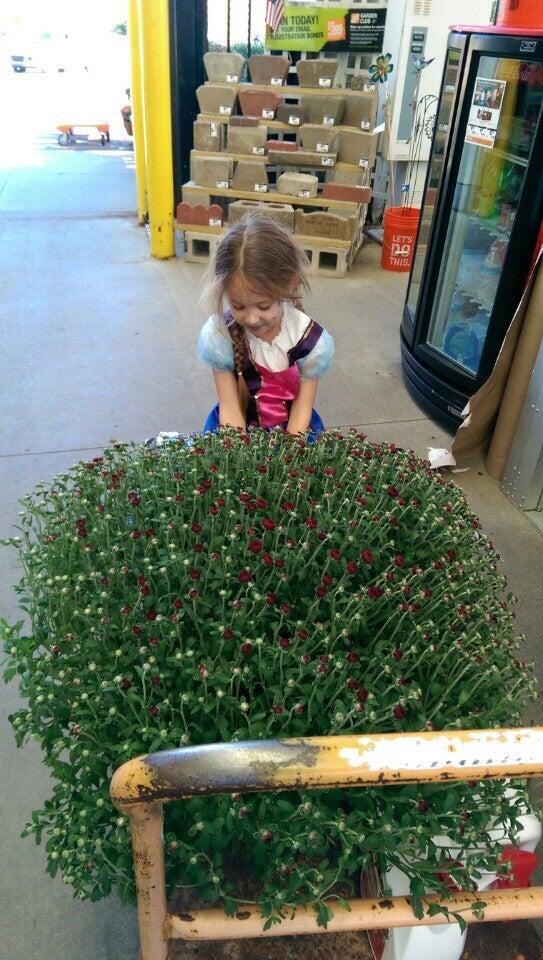 the-home-depot-51315-gratiot-ave-new-baltimore-mi-hours