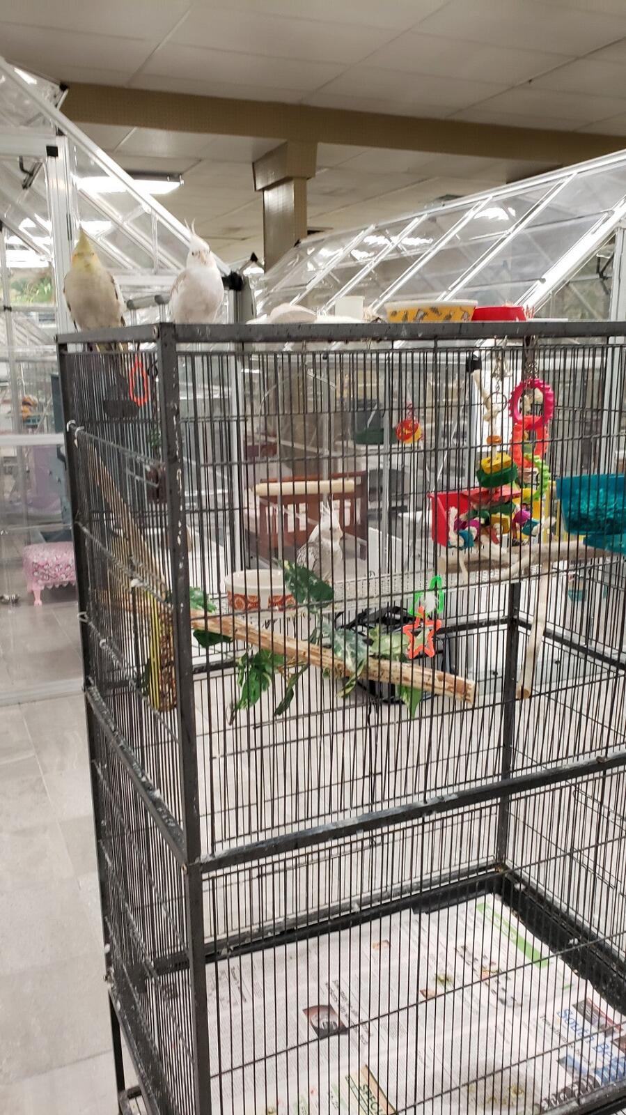 Photo credit: nextdoor