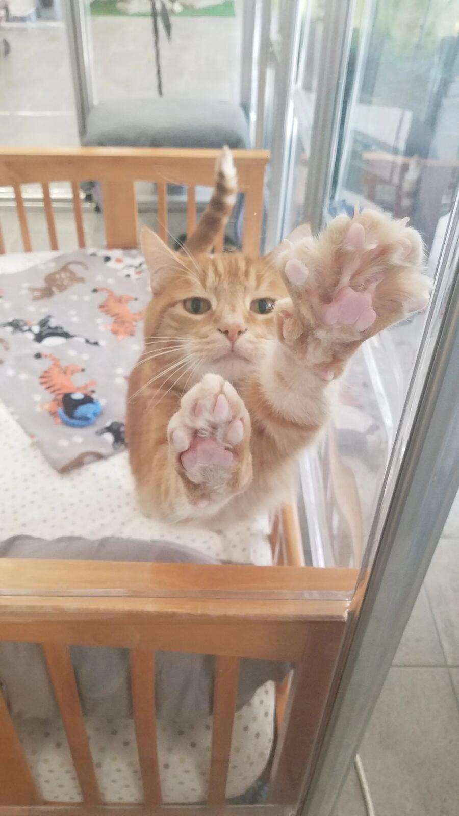 Photo credit: nextdoor