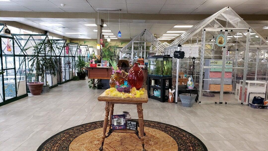 Photo credit: nextdoor