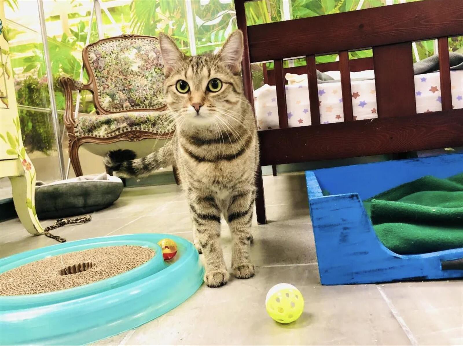 Photo credit: nextdoor