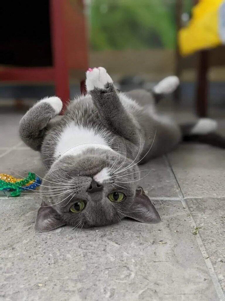 Photo credit: nextdoor