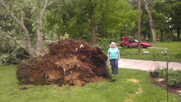 Photo credit: nextdoor