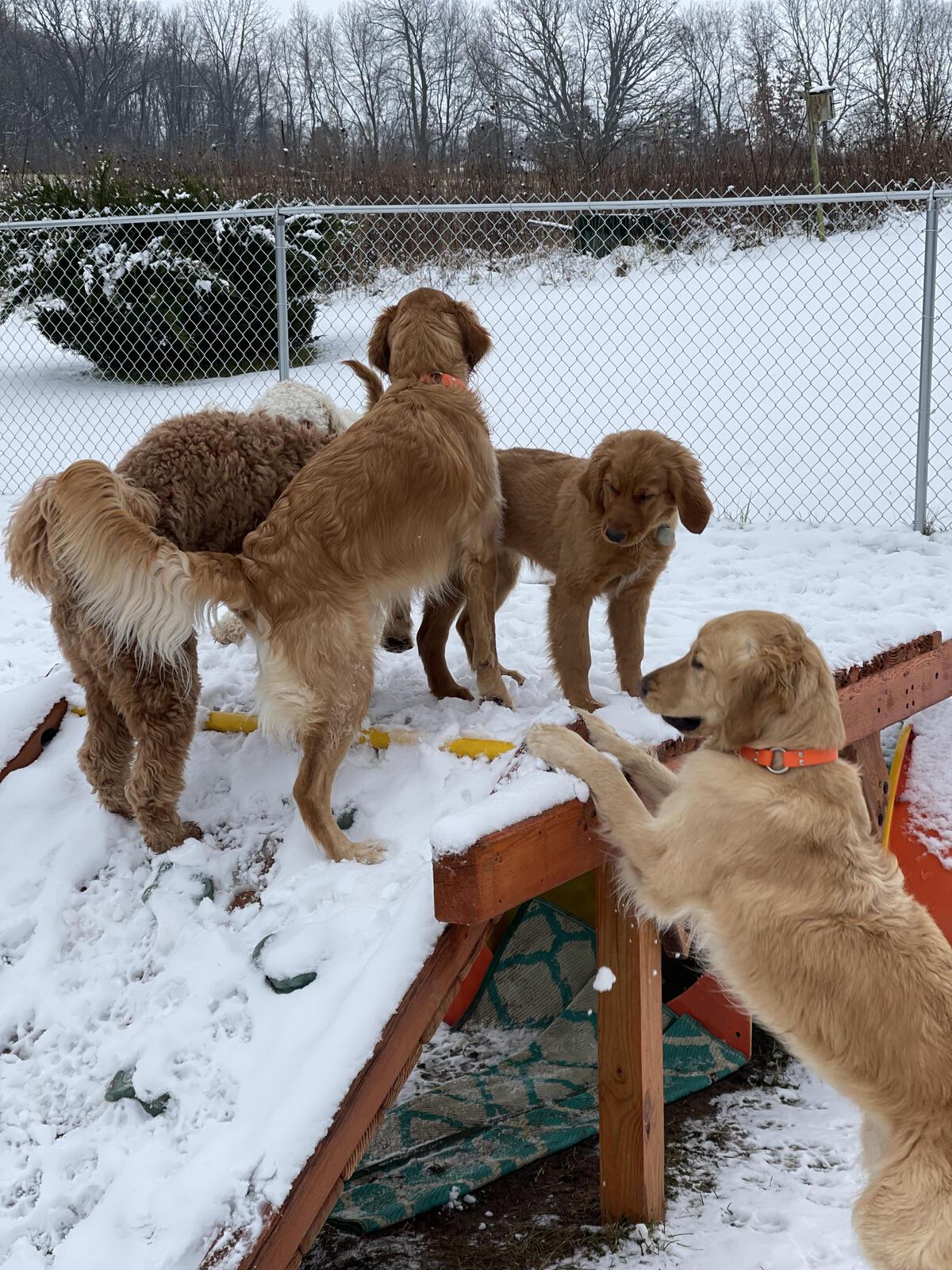Photo credit: nextdoor