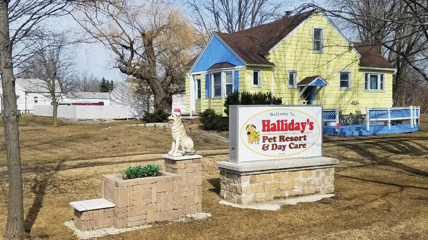 Halliday's Pet Resort & Day Care
