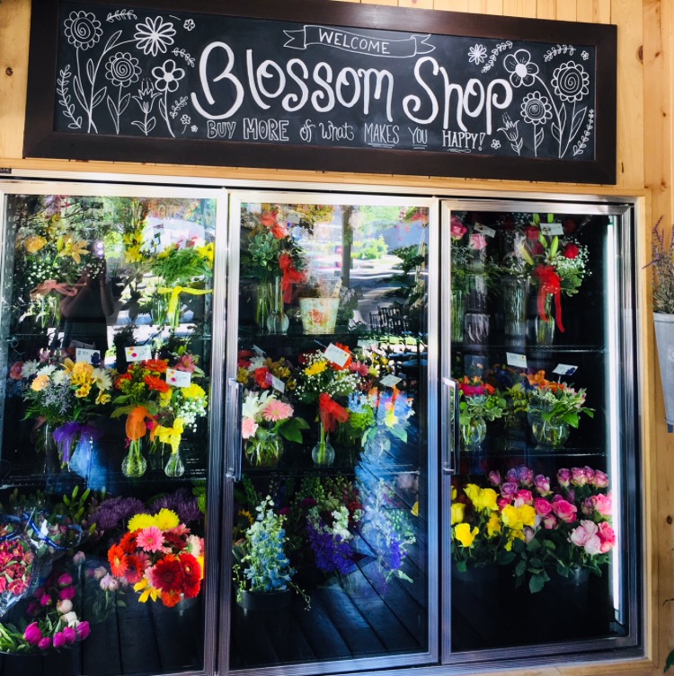 Blossom Shop - Local Traverse City Florist