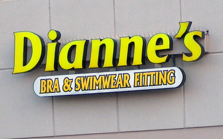 Dianne's Professional Bra