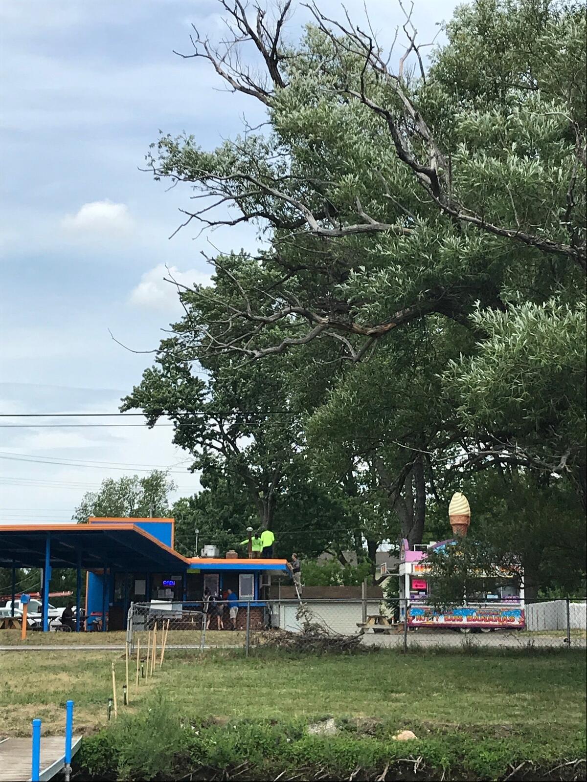 Photo credit: nextdoor