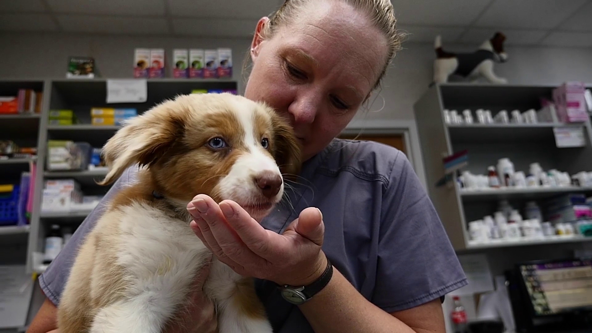 Chaska Valley Veterinary Clinic