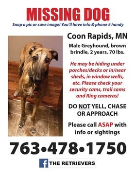 Coon Rapids Pet Hospital Pa: Epping Jay DVM