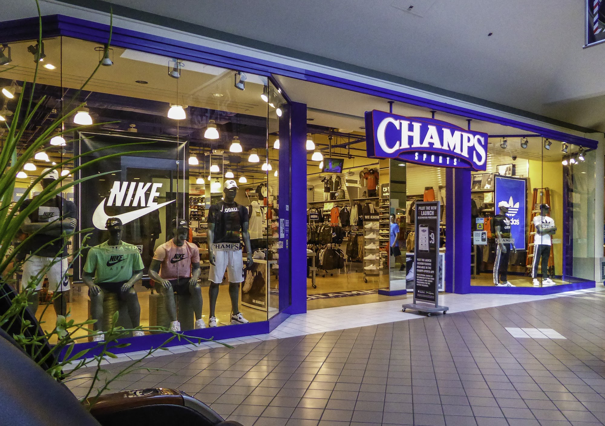 Champs Sports