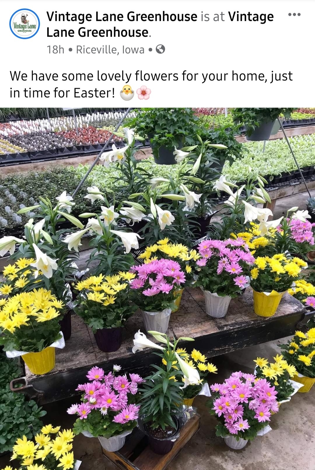 Photo credit: facebook