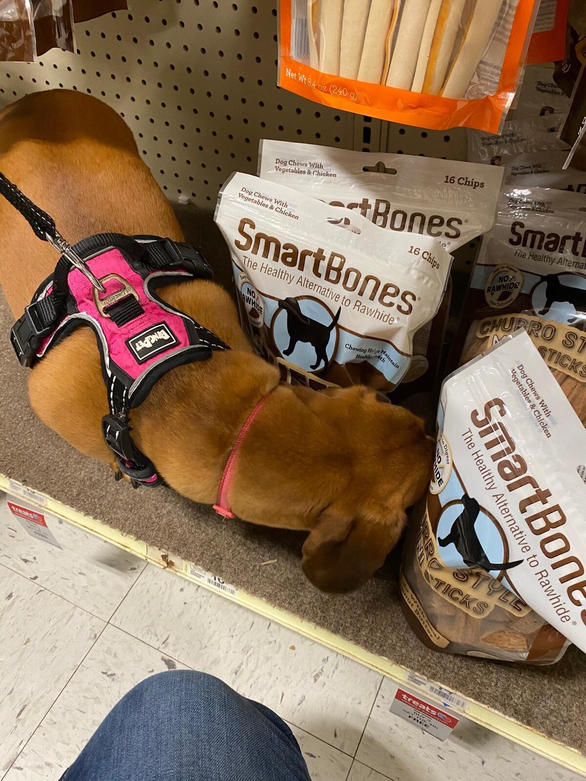 Photo credit: nextdoor