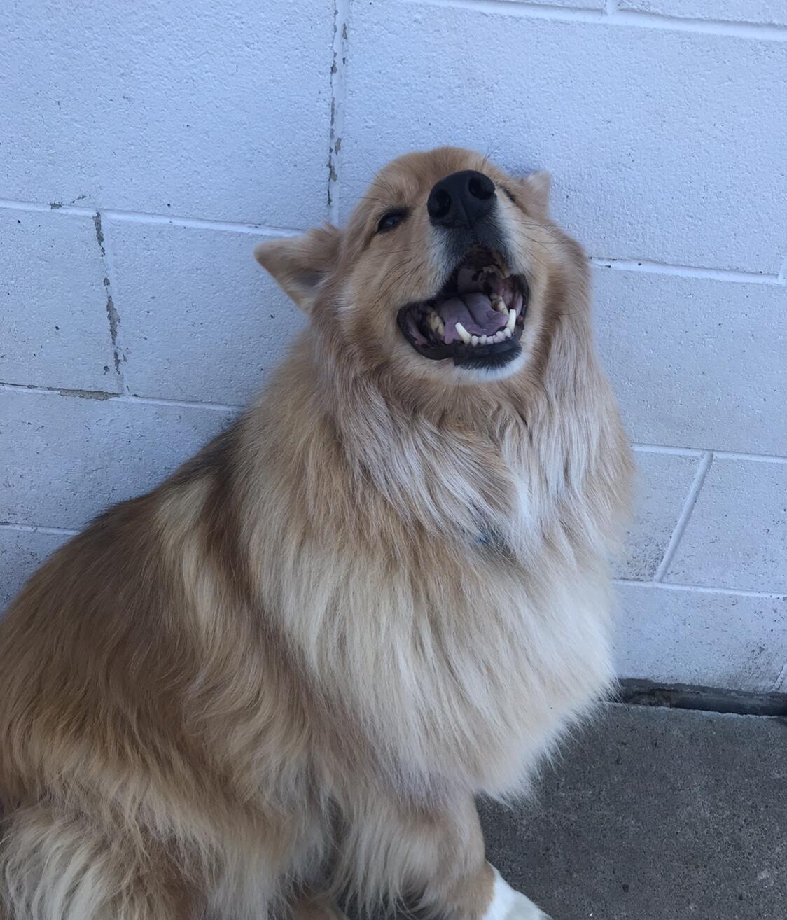 FUN CITY DOGS - Minneapolis MN - Hours, Directions, Reviews - Loc8NearMe