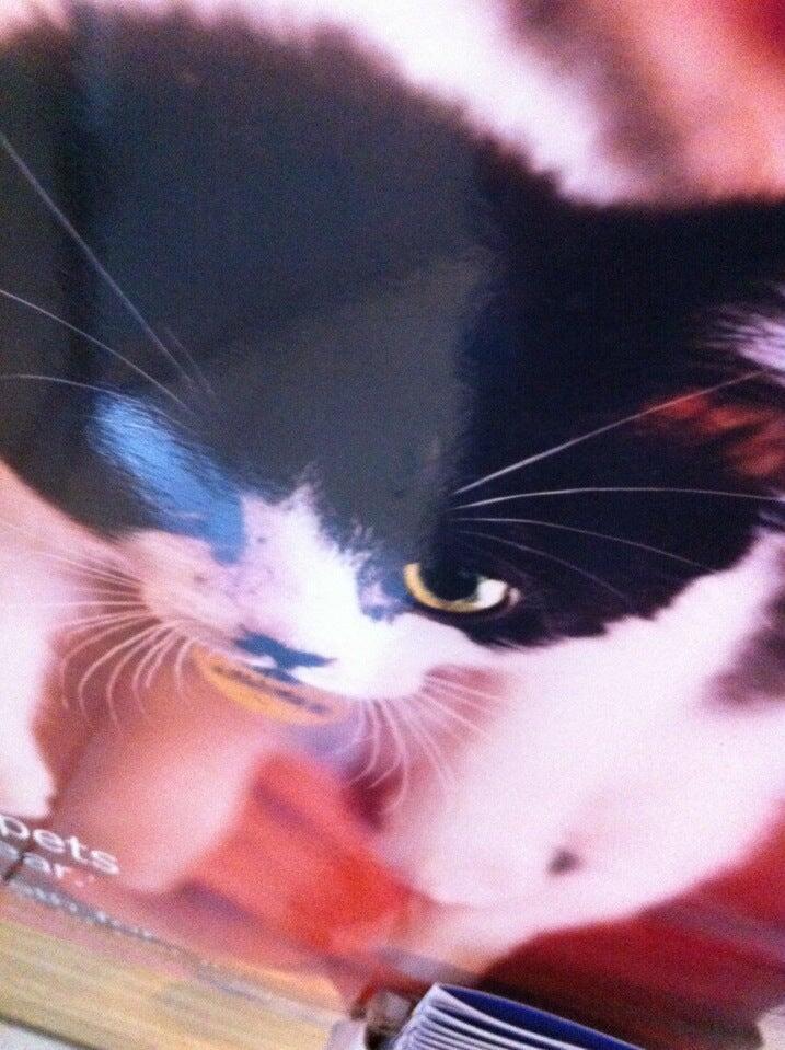 Photo credit: nextdoor