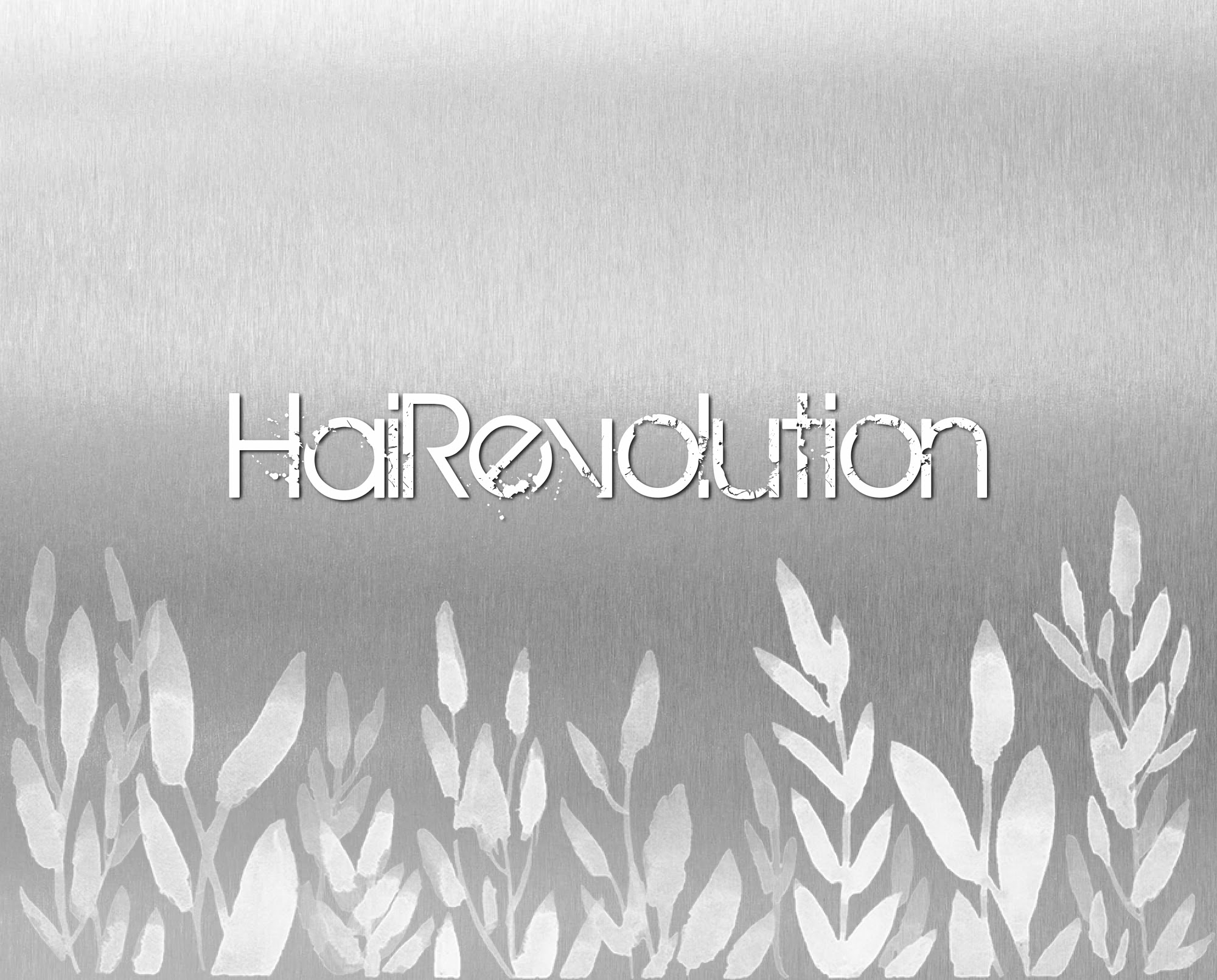 HaiRevolution Salon