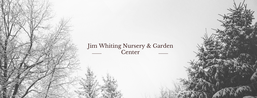 Jim Whiting Nursery And Garden Center