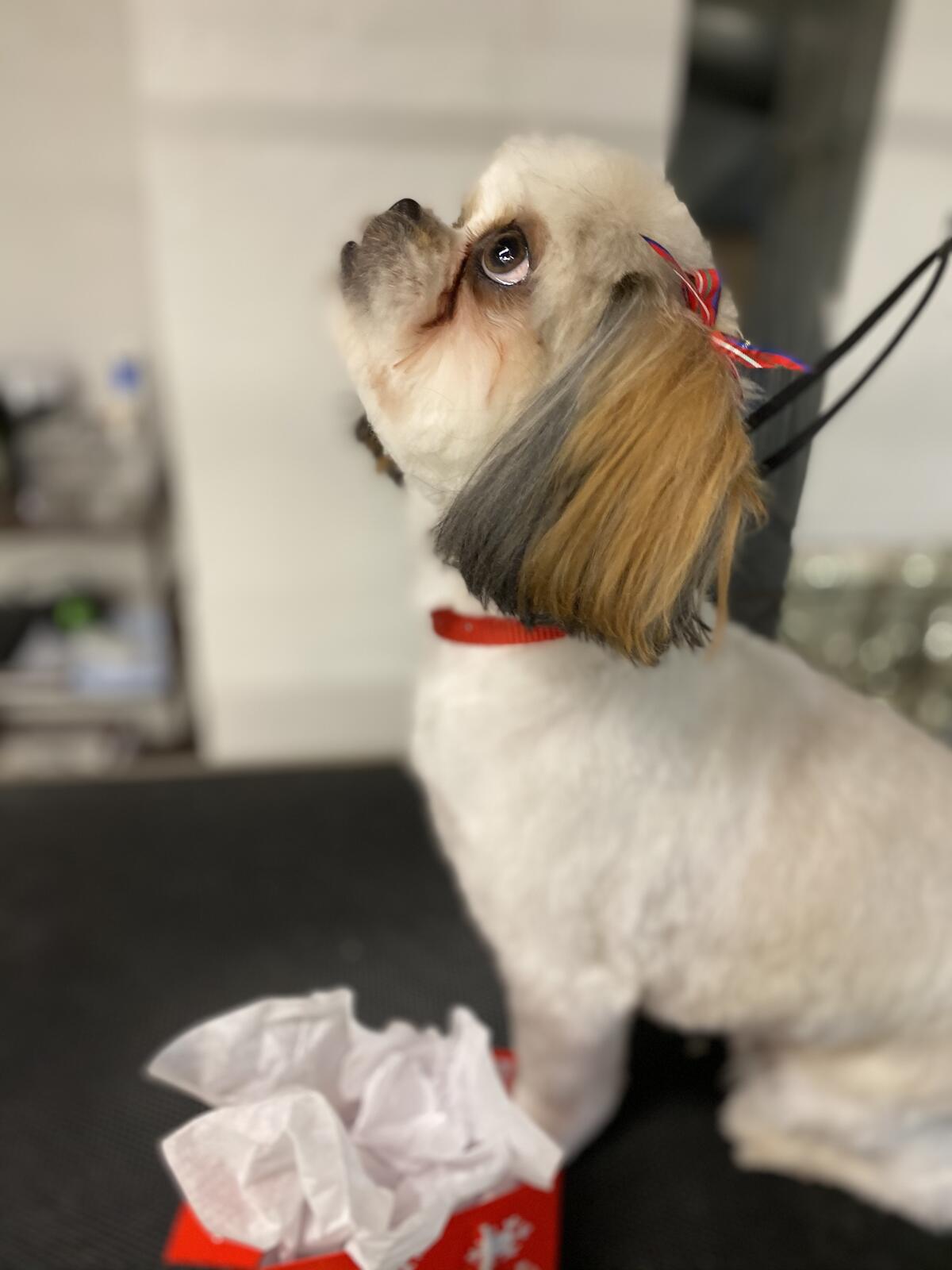 Photo credit: nextdoor