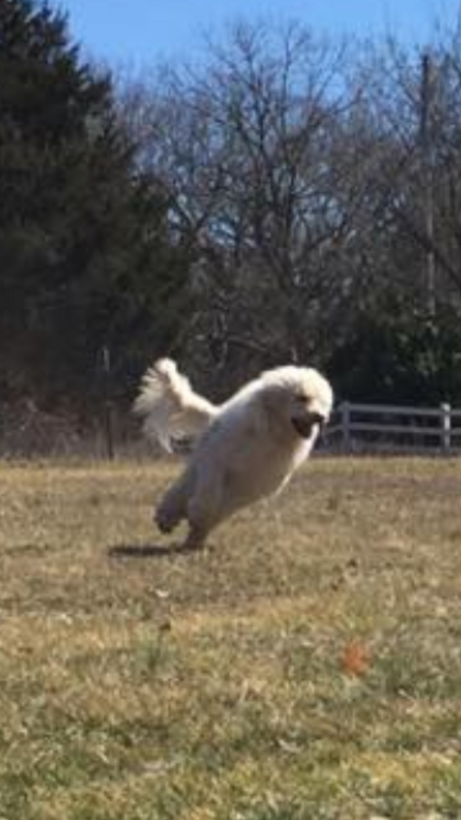 Photo credit: nextdoor