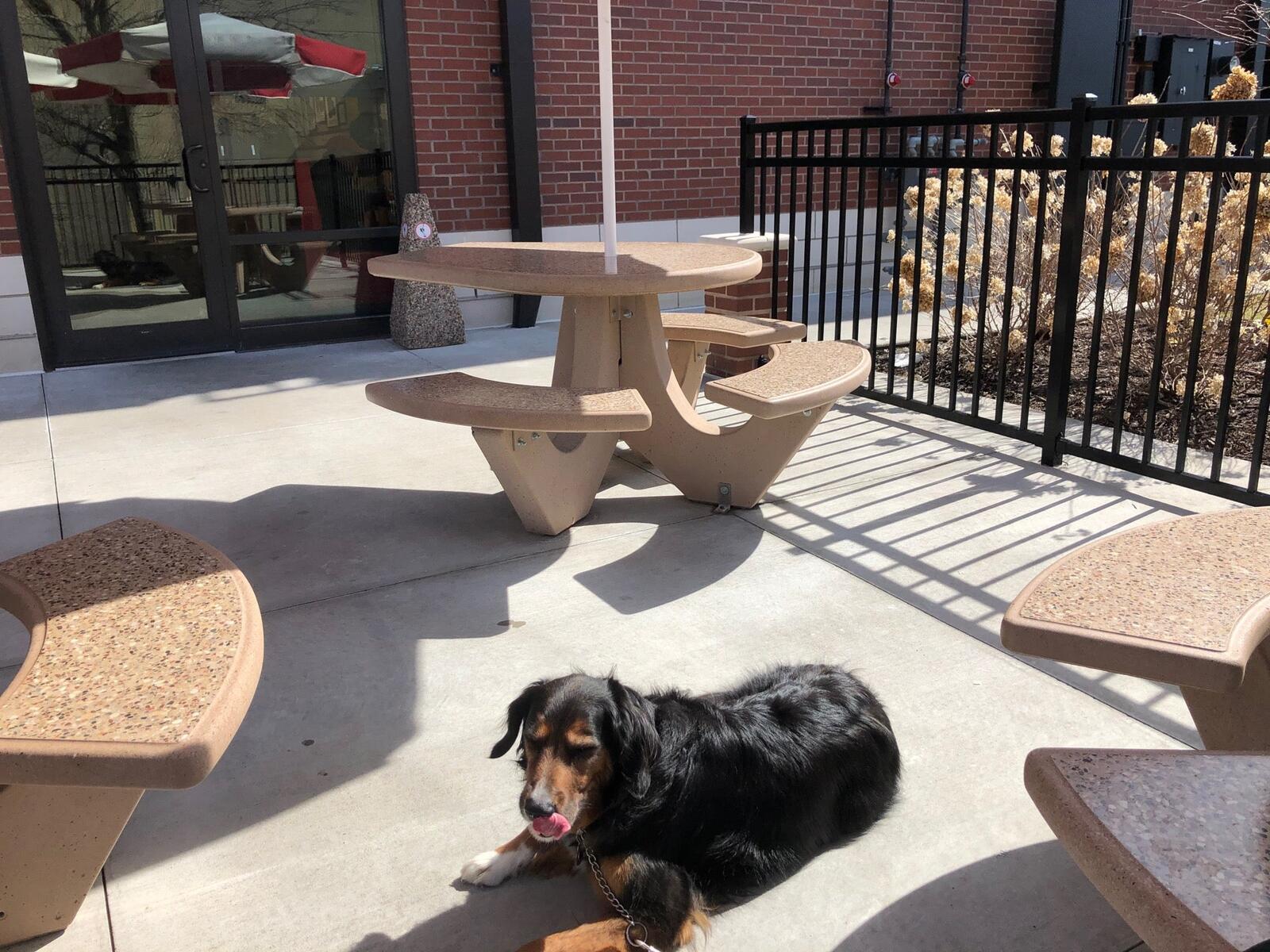 Photo credit: nextdoor