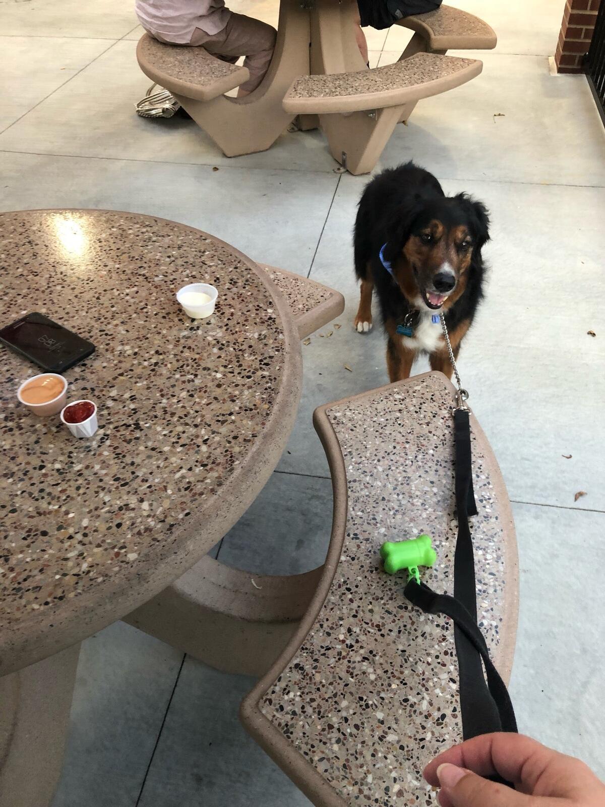 Photo credit: nextdoor
