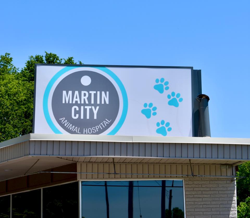 Martin City Animal Hospital