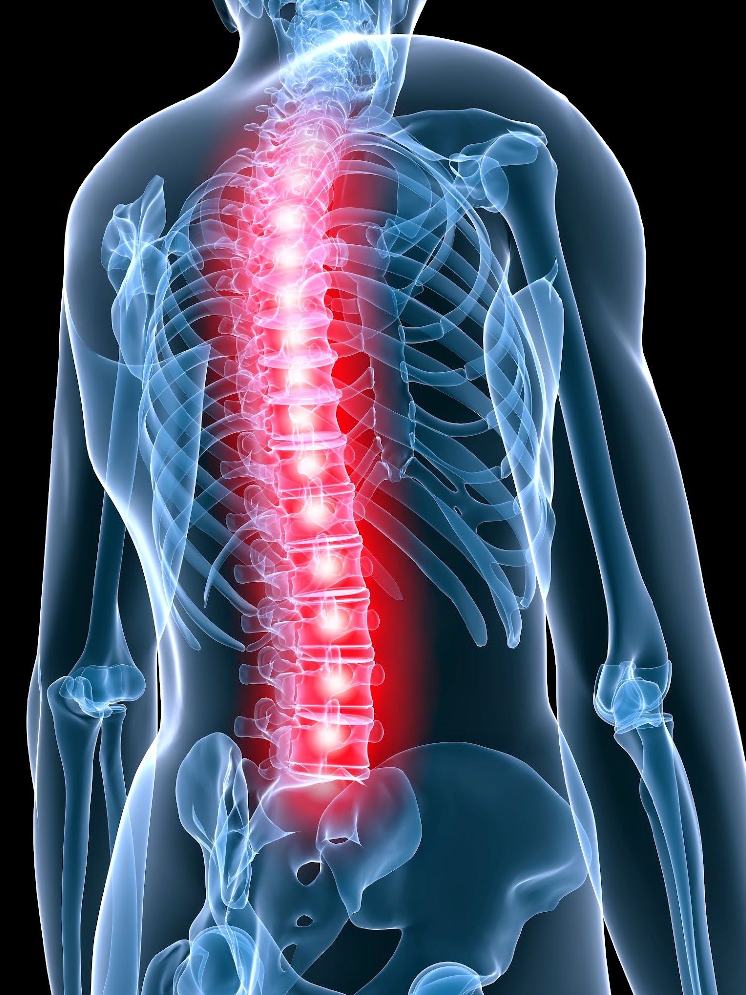 Northland Spine And Rehabilitation