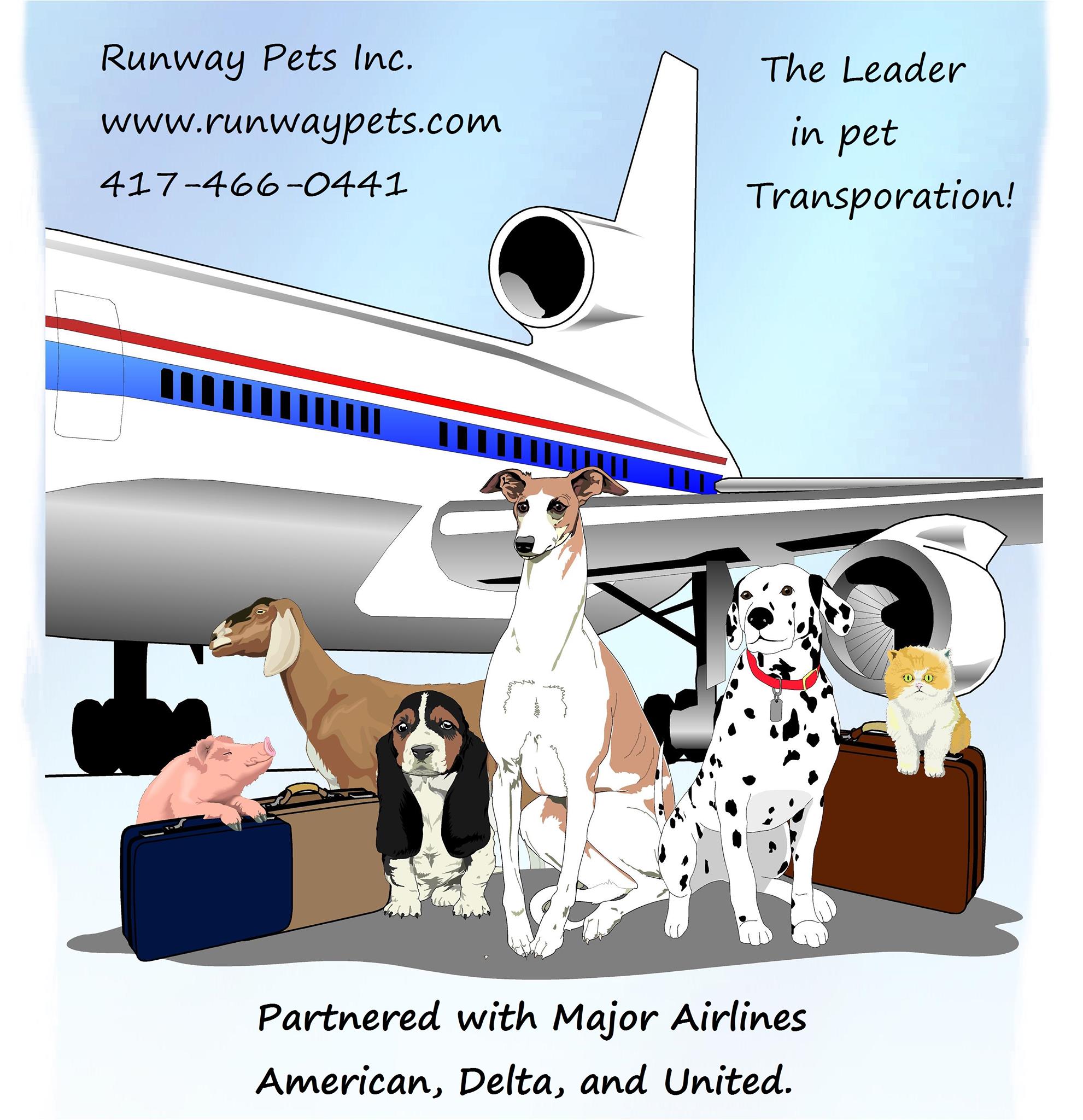 Runway Pets Inc Mount Vernon