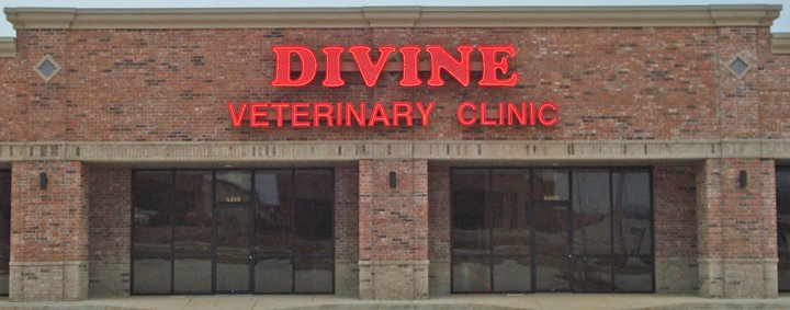 Divine Veterinary Clinic