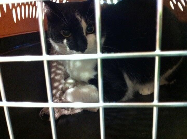 Photo credit: nextdoor