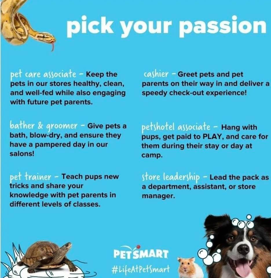 how much does a petsmart dog trainer make