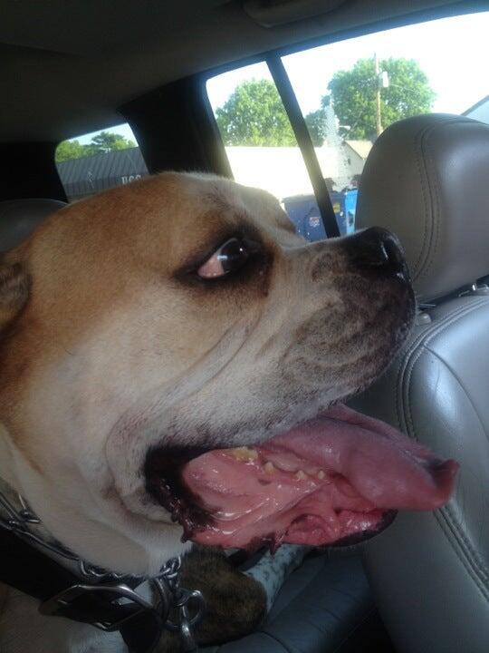 Photo credit: nextdoor