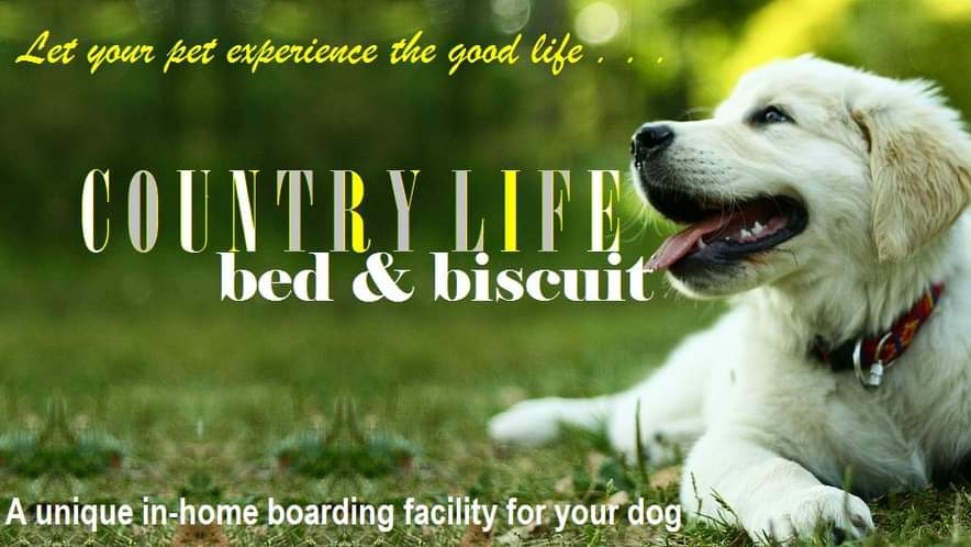 Country Life Bed & Biscuit