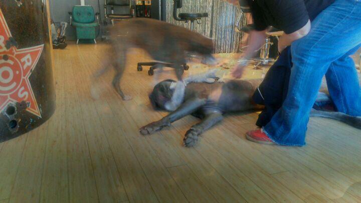 Photo credit: nextdoor