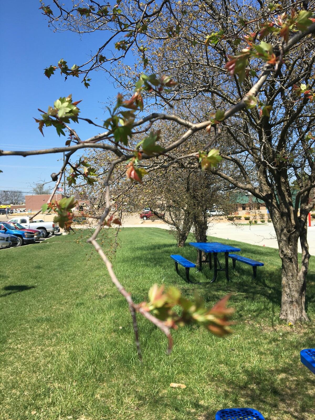 Photo credit: nextdoor