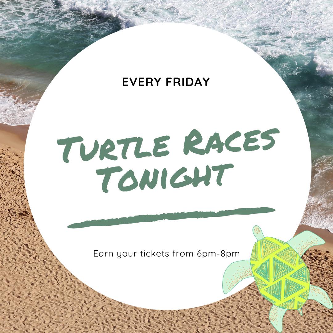 The 15 Best Restaurants In Bay Saint Louis Ms - Dec 2021 Selection By Restaurantji