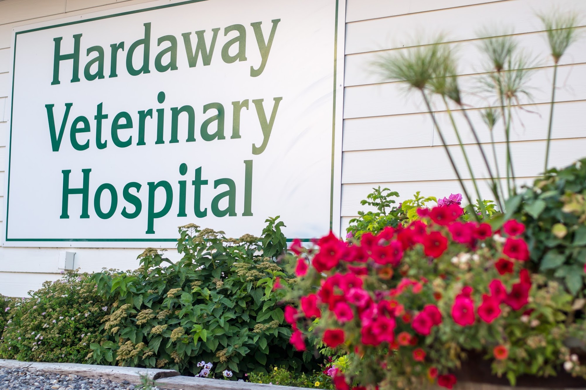 Hardaway Veterinary Hospital