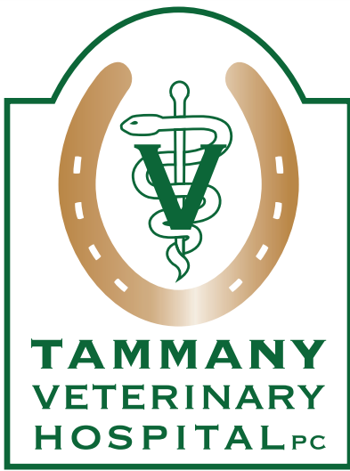 Tammany Veterinary Hospital, PC 1014 Eastside Hwy, Corvallis Montana 59828