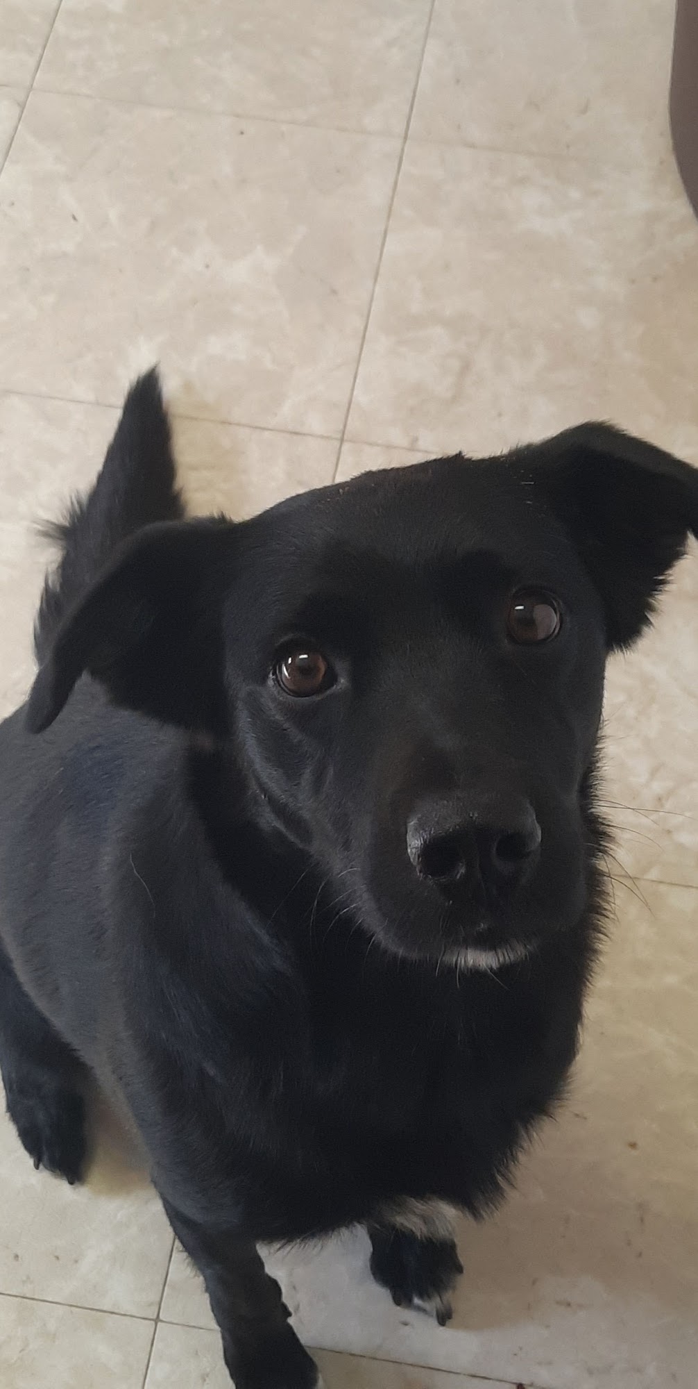 Plentywood Veterinary Clinic