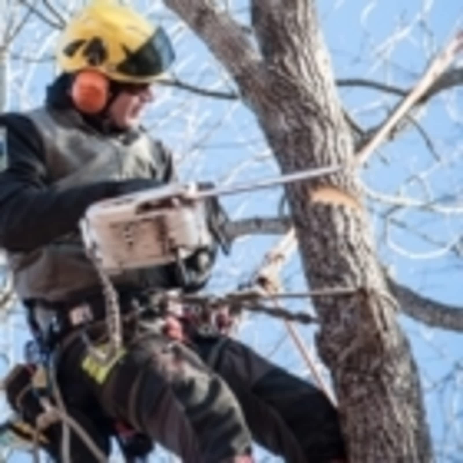 Photo credit: yellowpages.ca