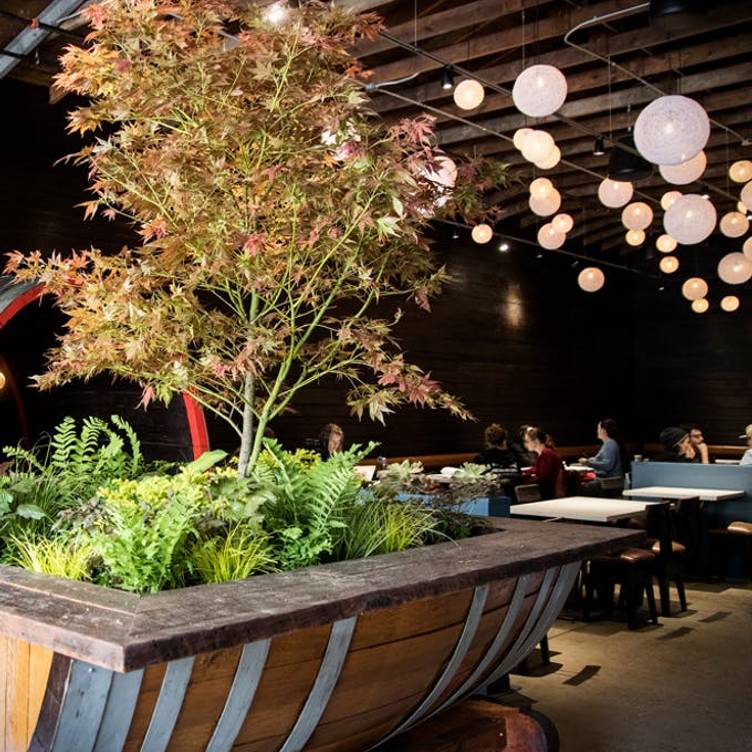 Photo credit: opentable