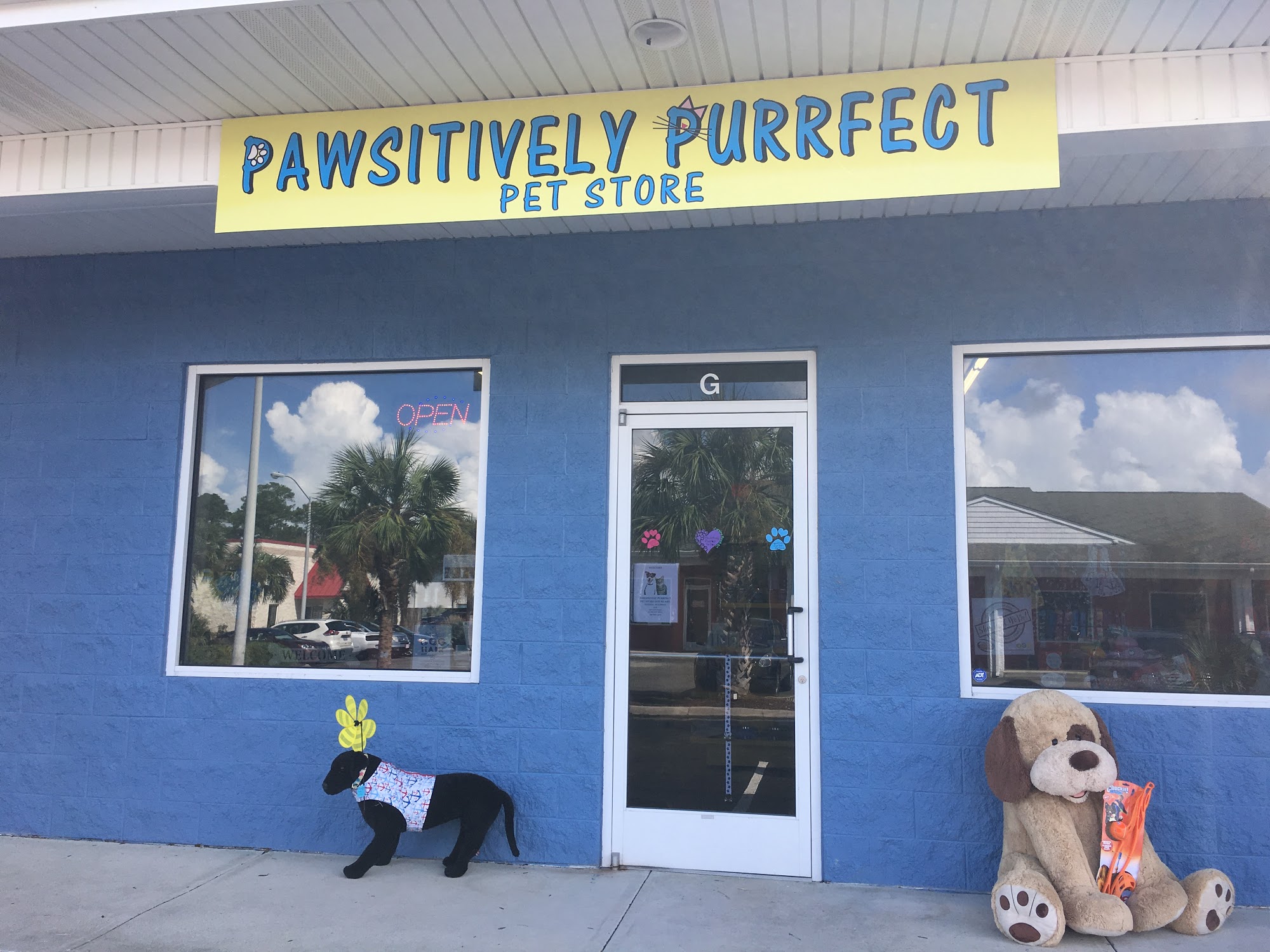 Pawsitively Purrfect Pet Store