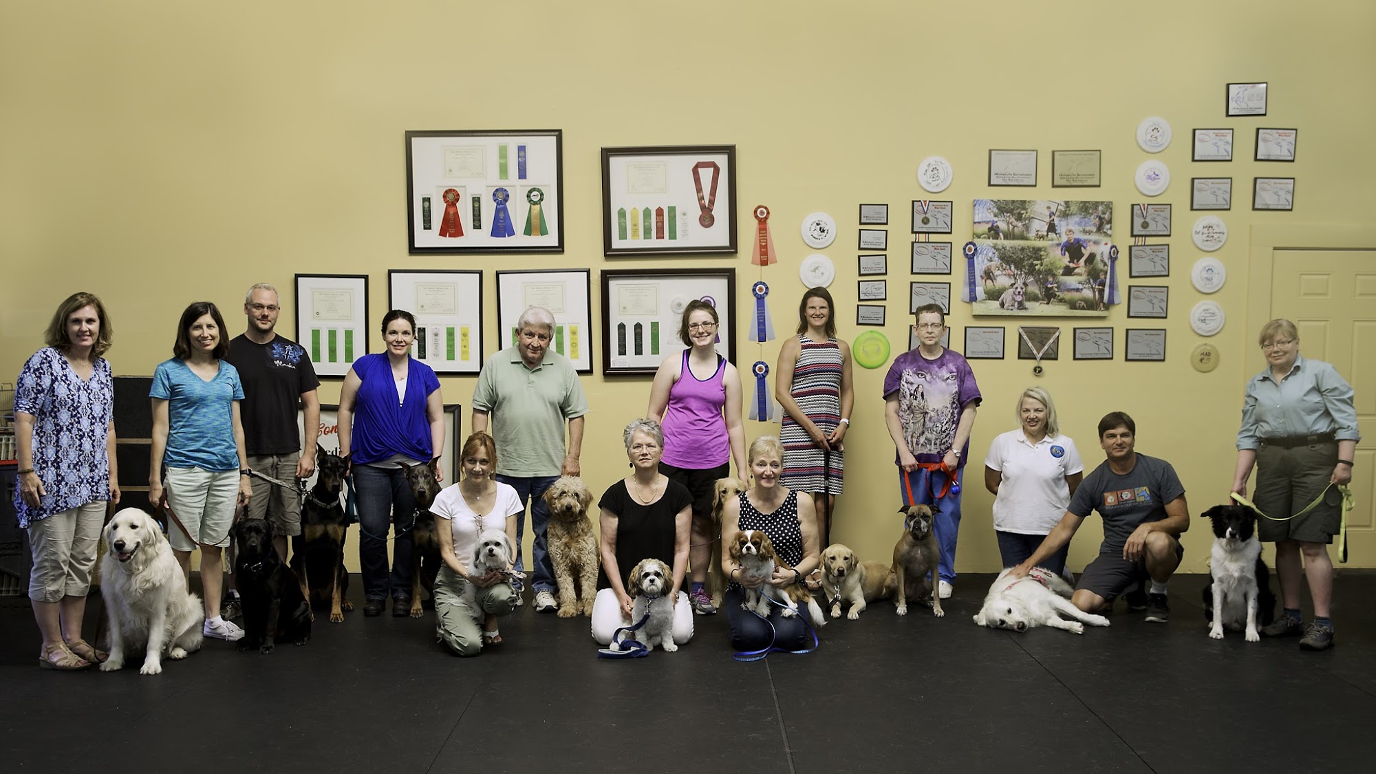 Jackie's Basics and Beyond Dog Training