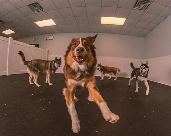 Photo credit: 