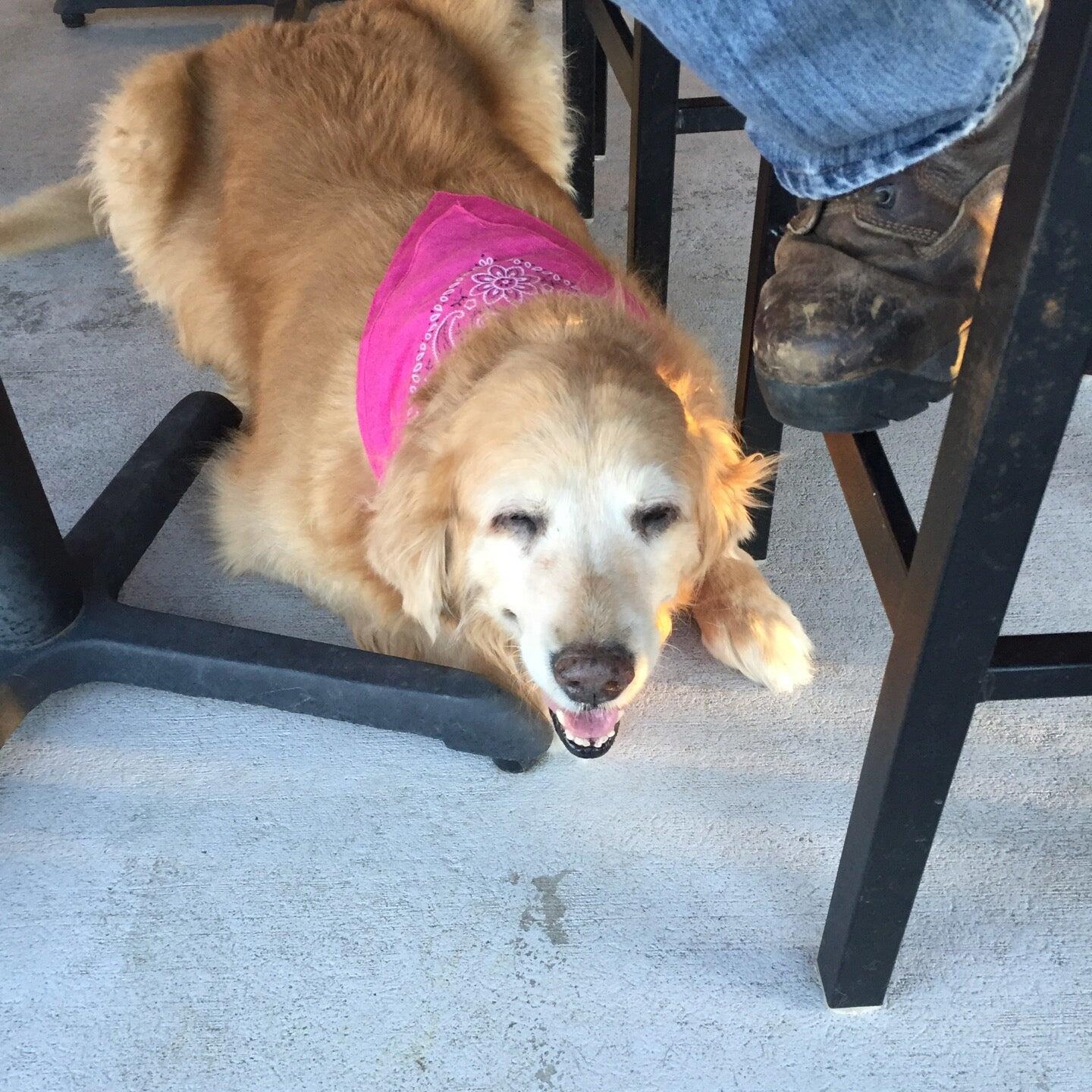 Photo credit: nextdoor